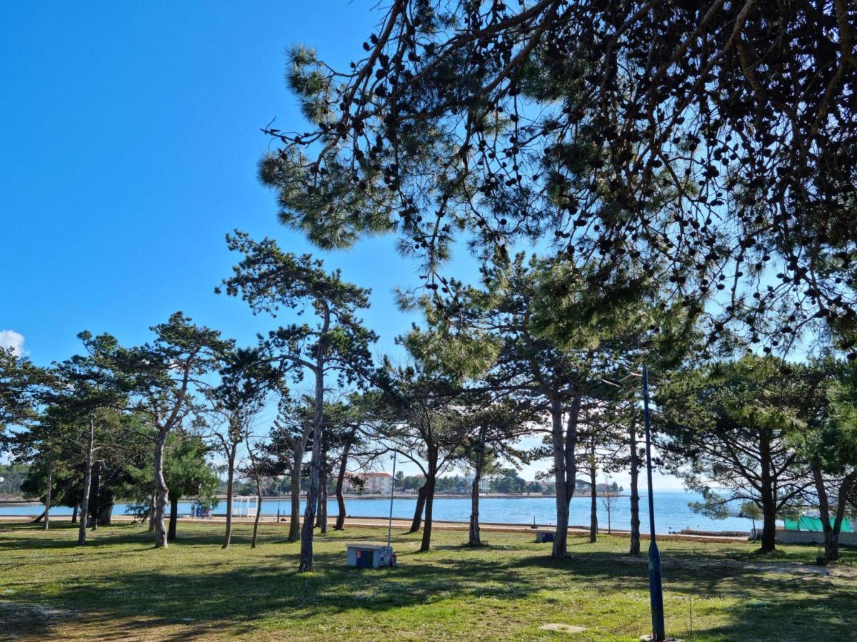 K9 Mobile Home Camp Dalmacija Privlaka Privlaka  Dış mekan fotoğraf