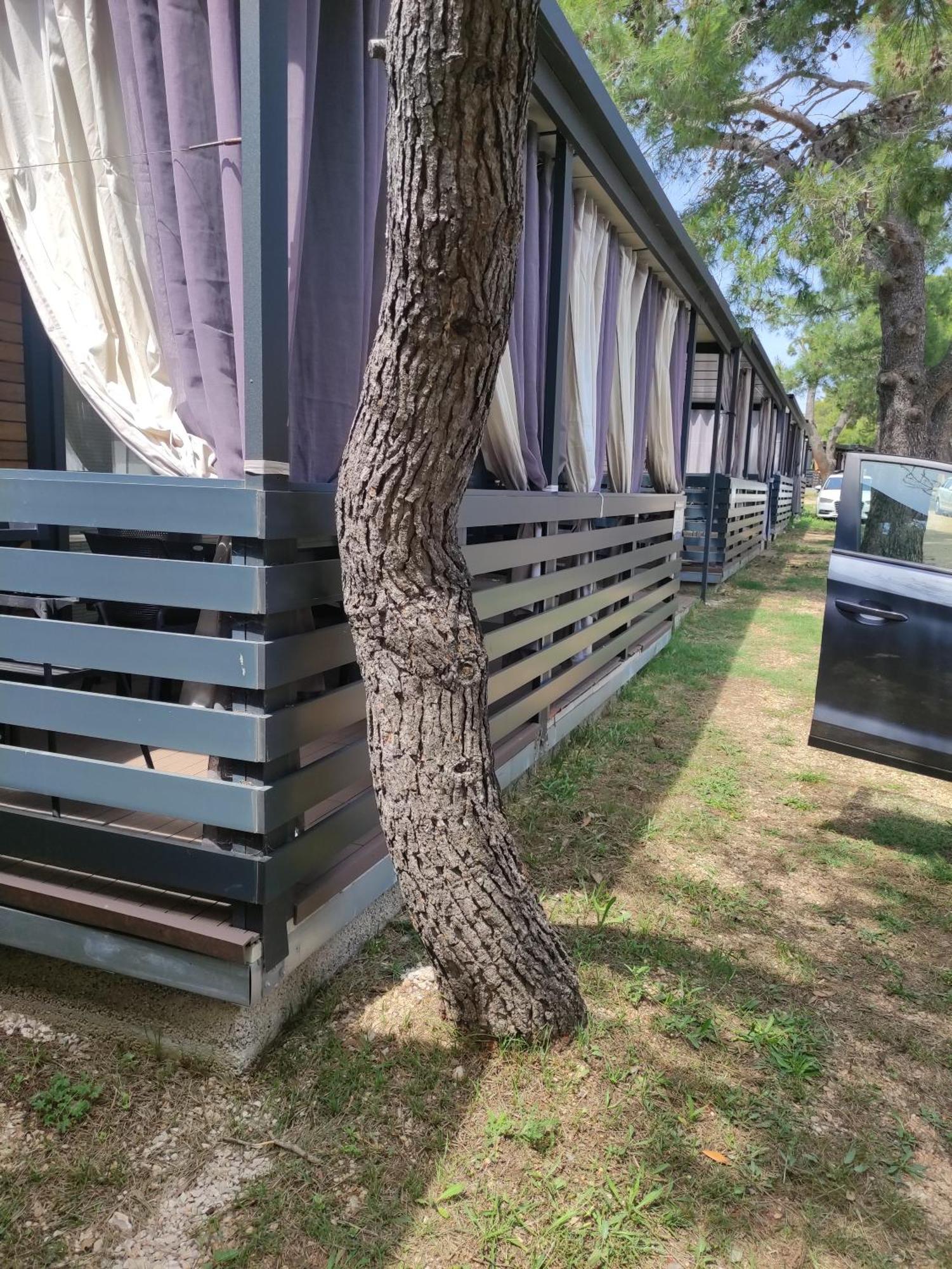 K9 Mobile Home Camp Dalmacija Privlaka Privlaka  Dış mekan fotoğraf